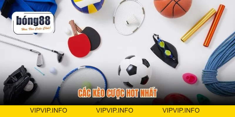 Thể Thao Bong88 – Tỷ Lệ Kèo Hấp Dẫn, Trận Cập Nhật Nhanh