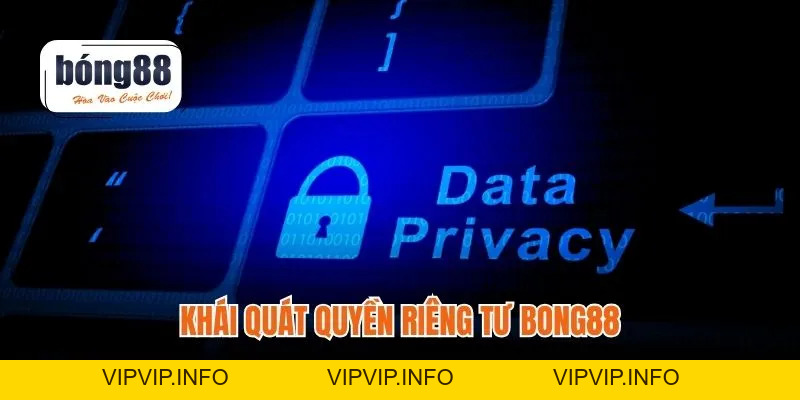 Quyền Riêng Tư Bong88 – Bảo Vệ Dữ Liệu Người Chơi An Toàn
