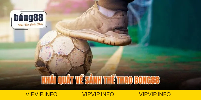 Thể Thao Bong88 – Tỷ Lệ Kèo Hấp Dẫn, Trận Cập Nhật Nhanh