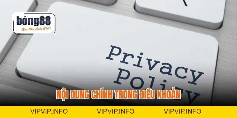 Điều Khoản Sử Dụng – Quyền Lợi & Trách Nhiệm Rõ Ràng