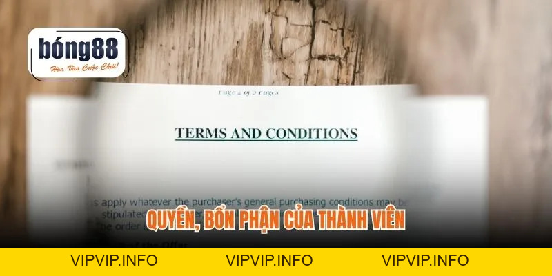 Điều Khoản Sử Dụng – Quyền Lợi & Trách Nhiệm Rõ Ràng