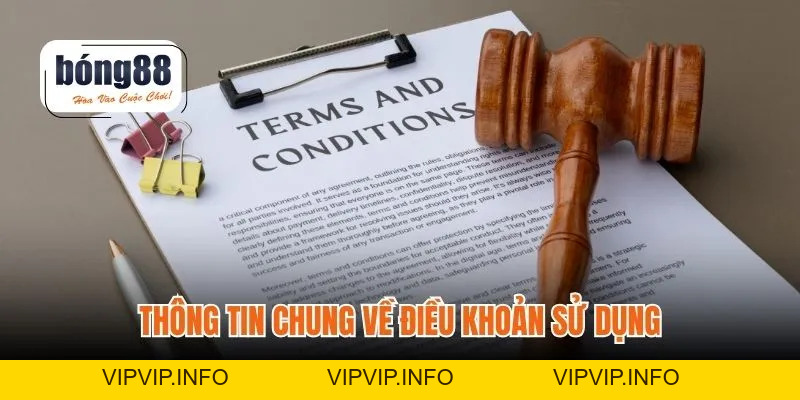 Điều Khoản Sử Dụng – Quyền Lợi & Trách Nhiệm Rõ Ràng