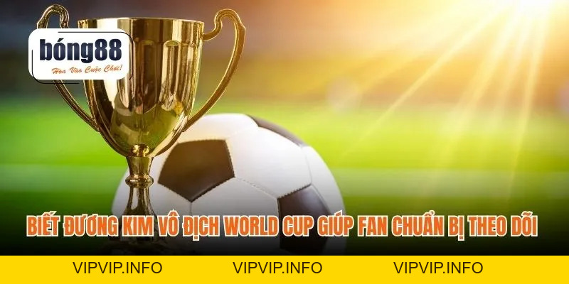 Đương Kim Vô Địch World Cup – Thống Trị Bóng Đá Thế Giới