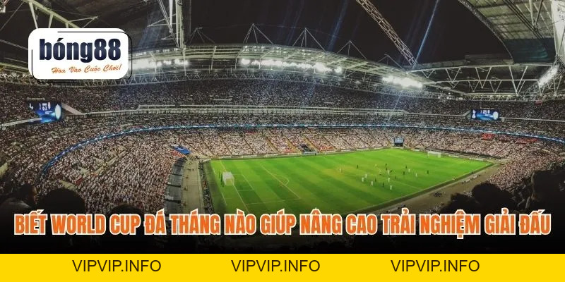 World Cup Đá Tháng Nào – Lịch Thi Và Trải Nghiệm Bóng Đá