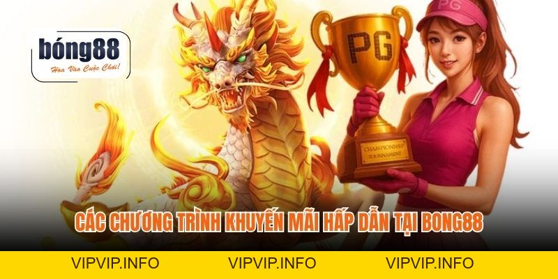 BONG88 – Nhà cái trực tuyến uy tín, link vào không bị chặn