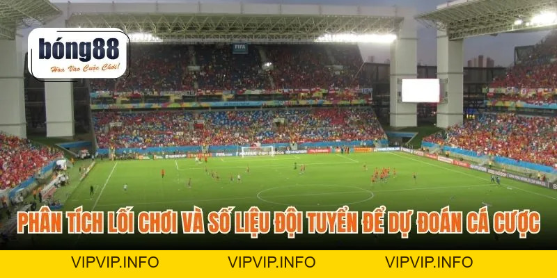 World Cup Nam Phi – Sân Chơi Cược Và Phân Tích Chiến Thuật