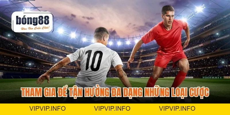 World Cup Nam Phi – Sân Chơi Cược Và Phân Tích Chiến Thuật