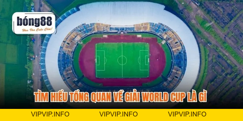 World Cup Là Gì – Giải Đấu Bóng Đá Hấp Dẫn Nhất Thế Giới