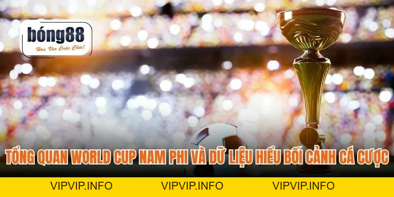 World Cup Nam Phi – Sân Chơi Cược Và Phân Tích Chiến Thuật