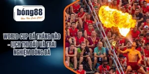 BONG88 – Nhà cái trực tuyến uy tín, link vào không bị chặn