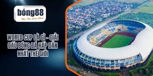 BONG88 – Nhà cái trực tuyến uy tín, link vào không bị chặn