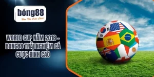 Tin Tức - BONG88 – Nhà Cái Trực Tuyến Uy Tín, Link Vào Không Bị Chặn