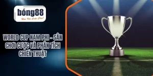 Tin Tức - BONG88 – Nhà Cái Trực Tuyến Uy Tín, Link Vào Không Bị Chặn
